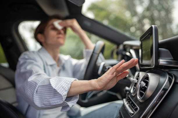 Best Thermostats and Smart Controls in Greenwood, MS